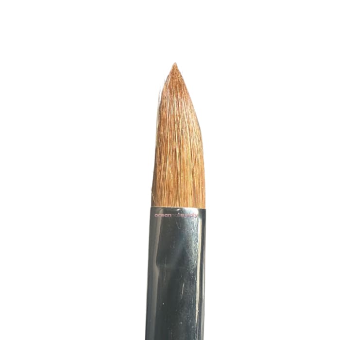 #20 Acrylic Brush 100% Kolinsky - OceanNailSupply